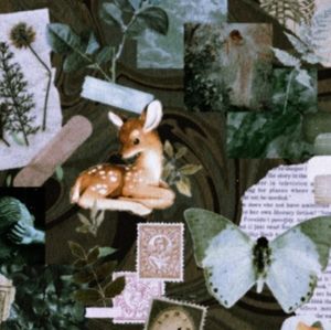 Meet your Posher, Lizeth